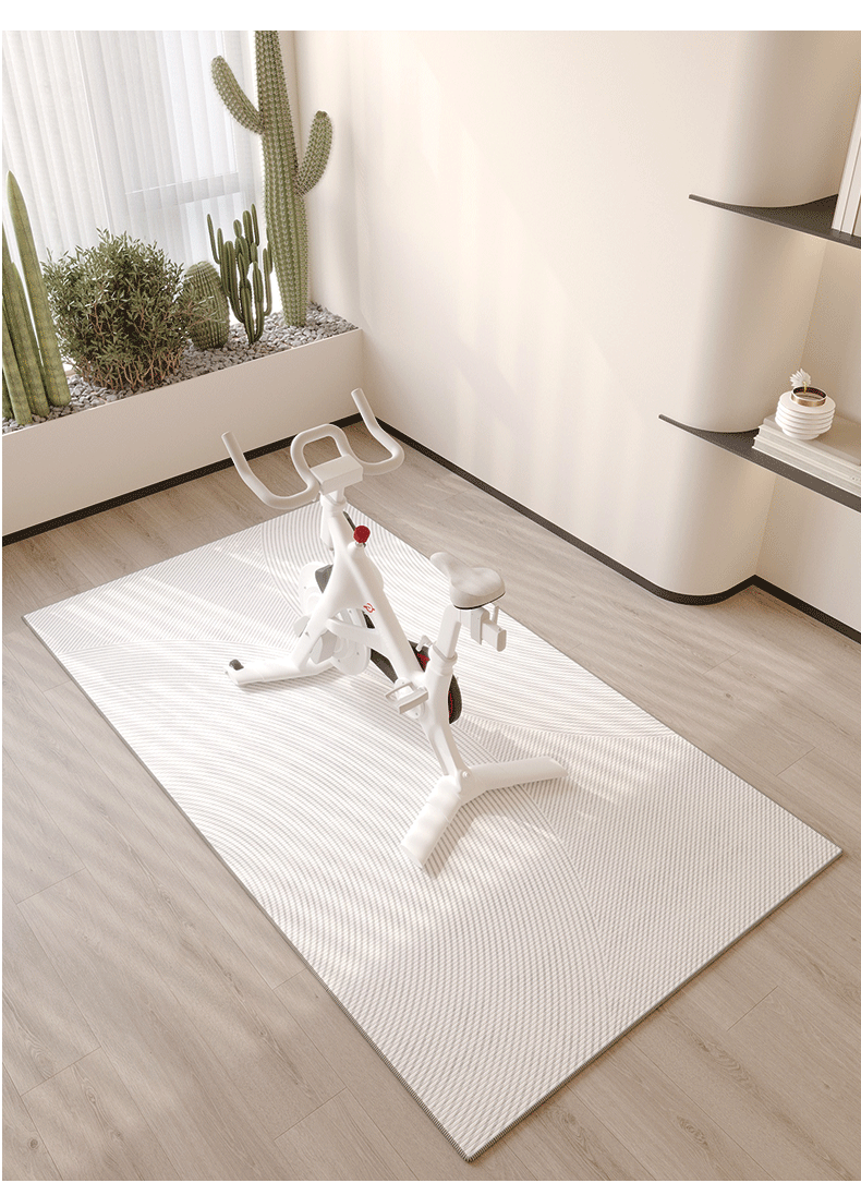 VIKAMA Spinning Bike Floor MAT - Outdoor Sport Jas recension och pris